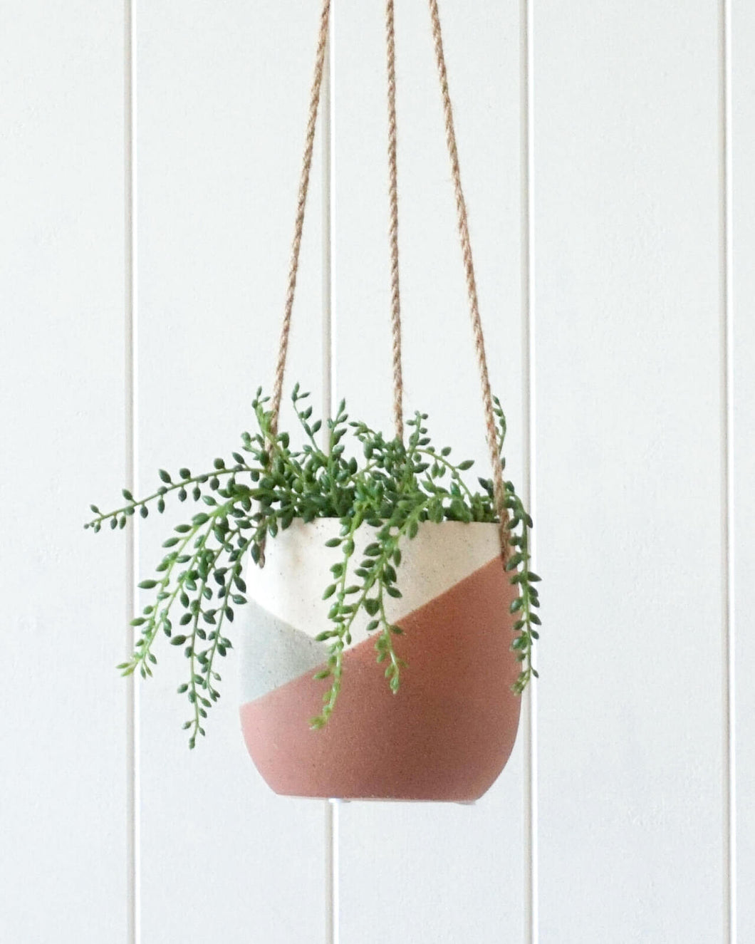 Liliana Hanging Pot